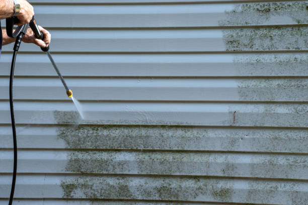 Best Yard Waste Removal  in Farmerville, LA